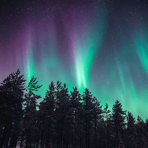 aurora borealis forecast duluth minnesota
